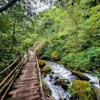 Puente de madera sobre río